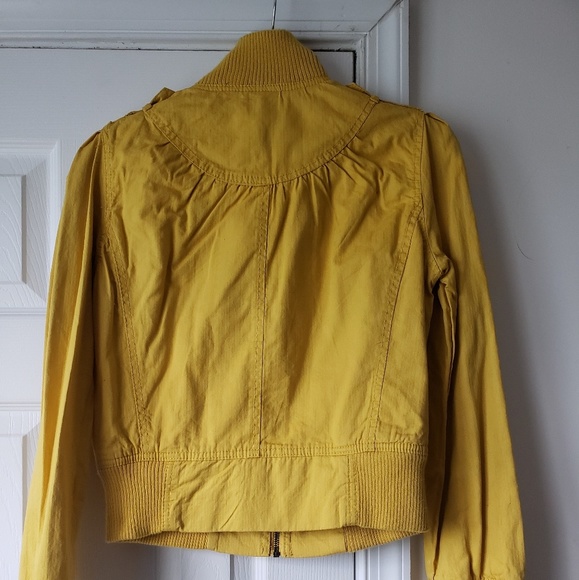 Yellow jacket - Picture 2 of 2